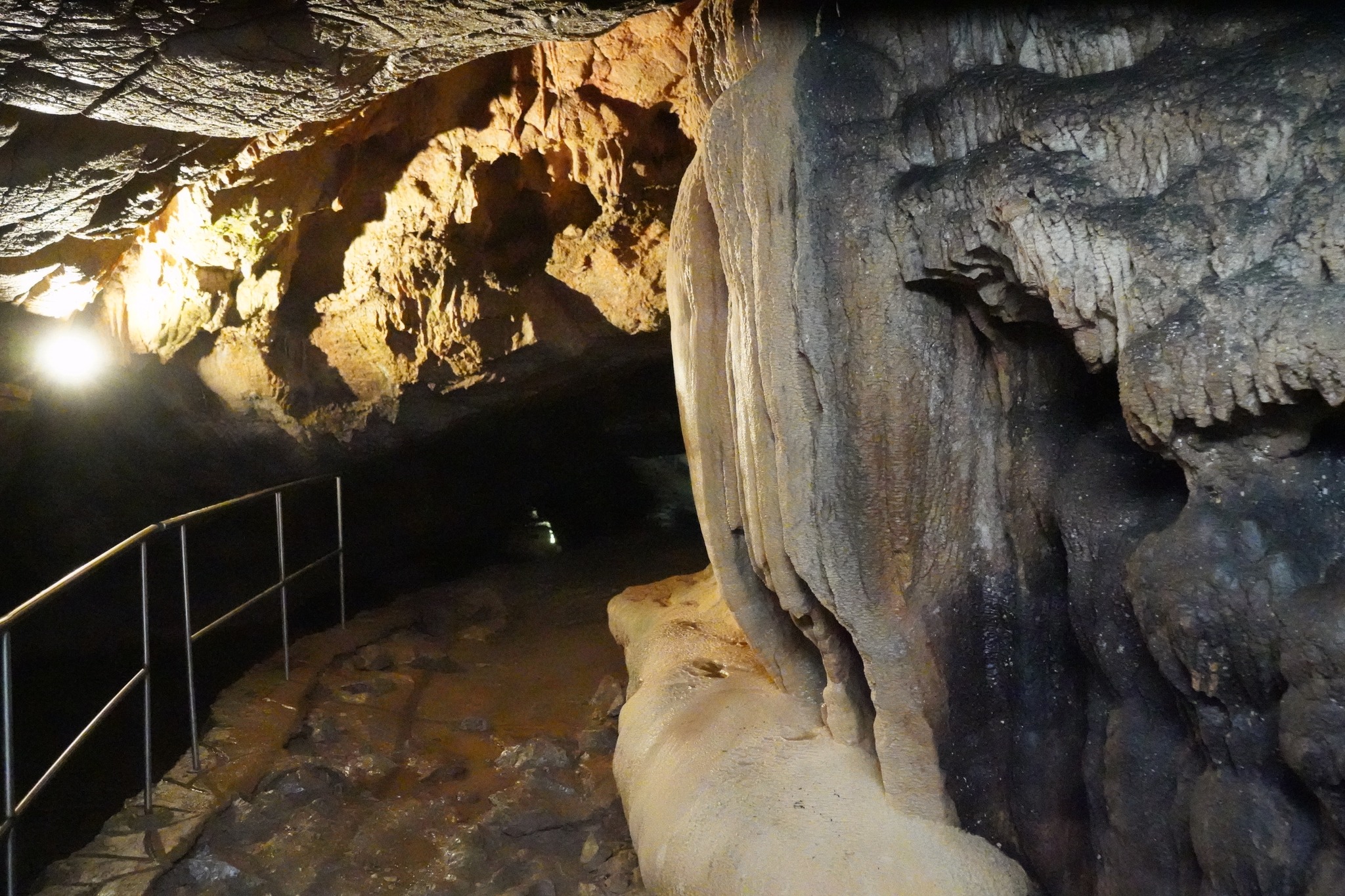 peştera vadu crisului3