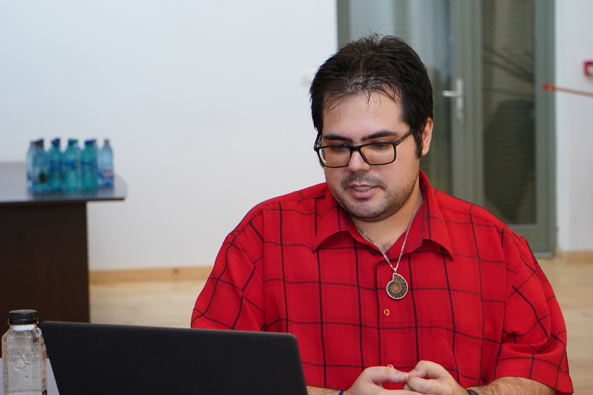 peştera vadu crisului11