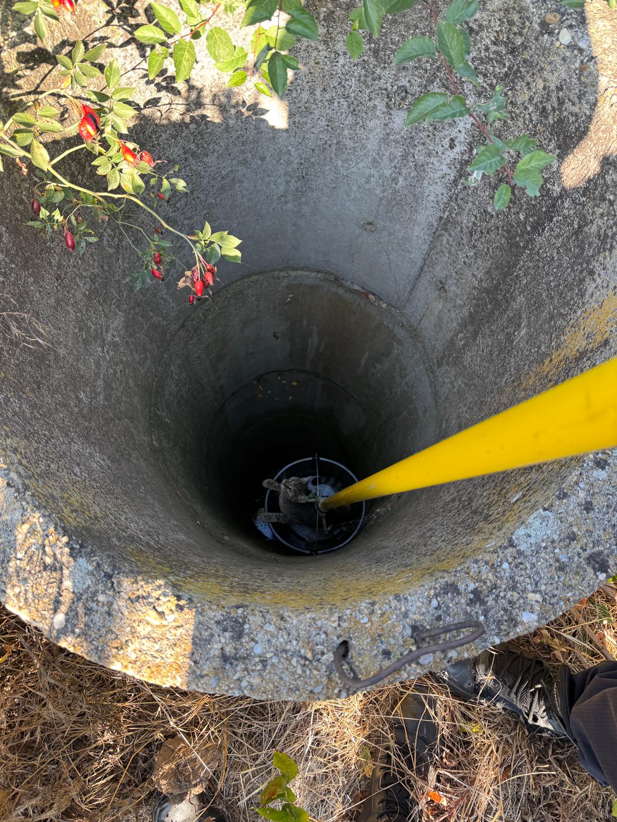 WhatsApp Image 2025-08-26 at 13.10.11