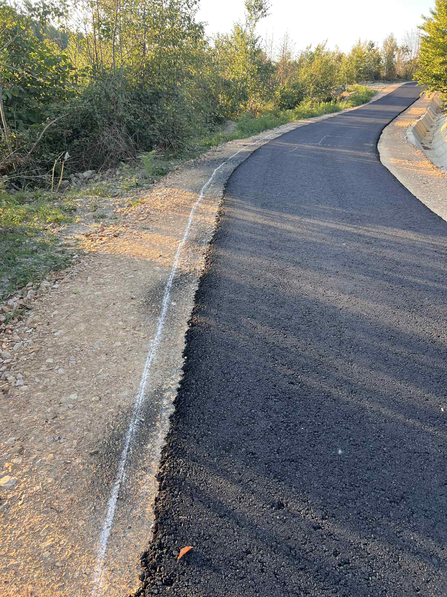 4fea2194-7cc5-4e44-ba76-69538d072800