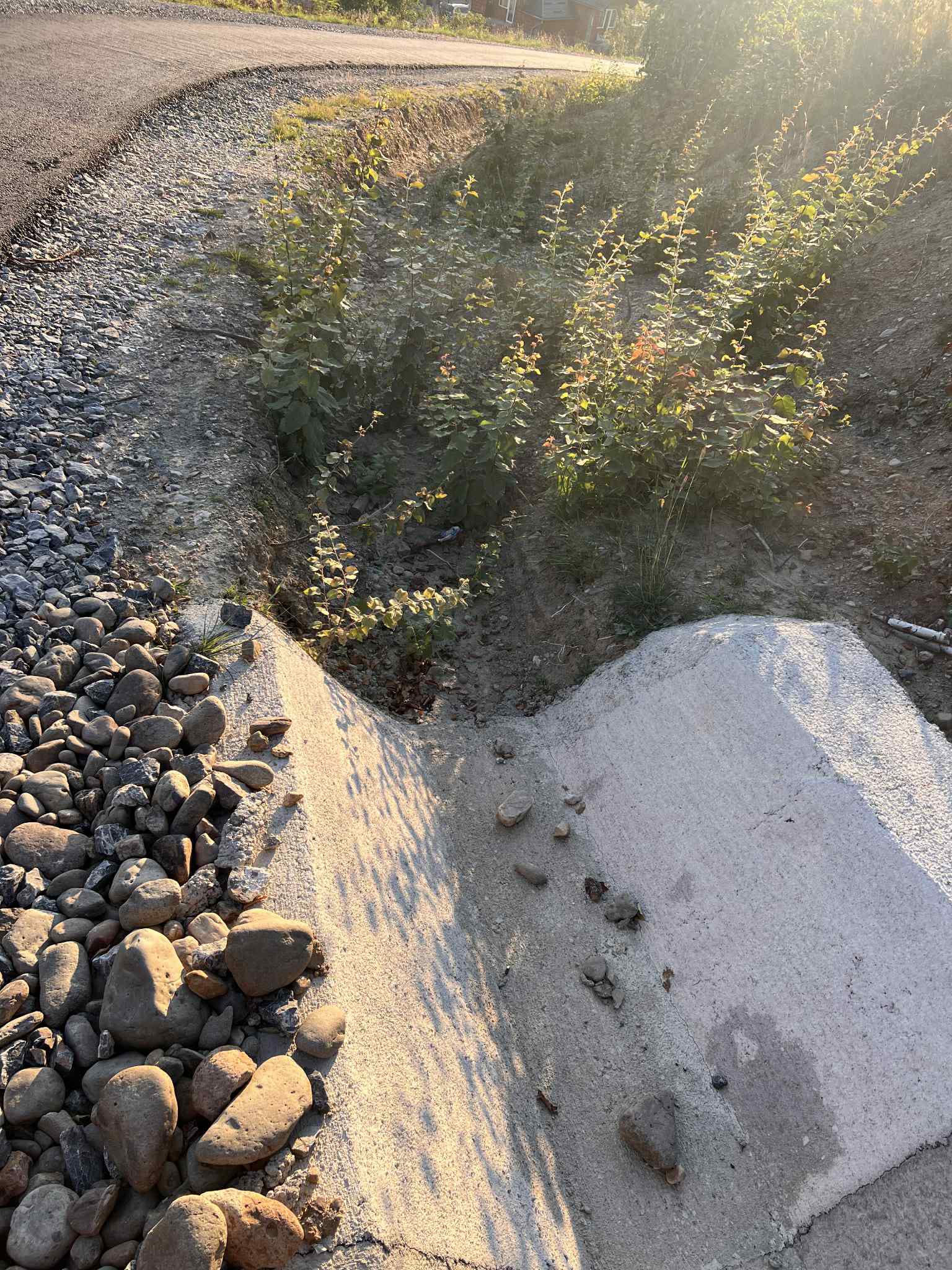 2b704fb9-f391-4a32-b2d3-039bb601627f