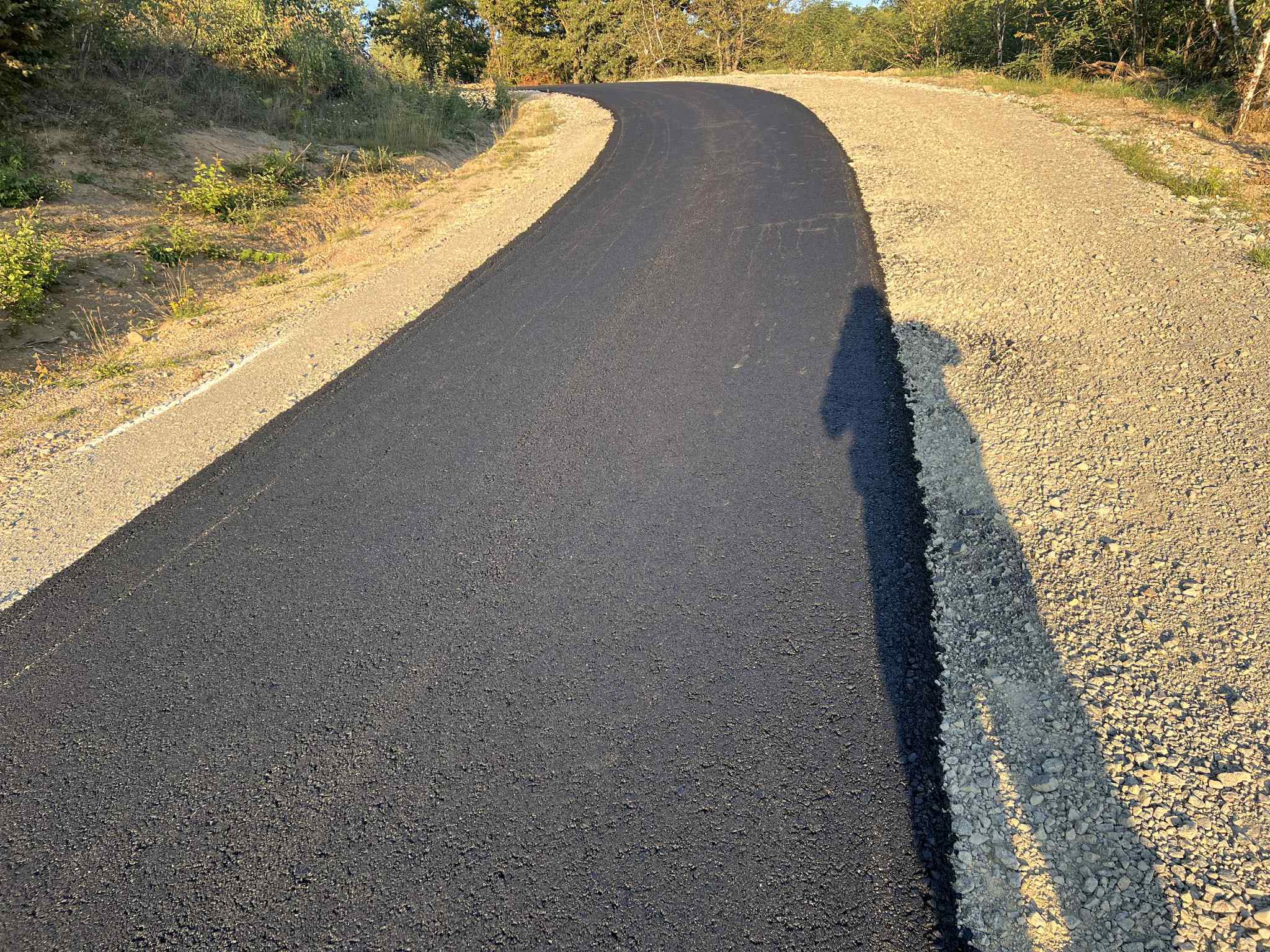 6af0809d-4a51-4d18-9172-46c7d6e6e544