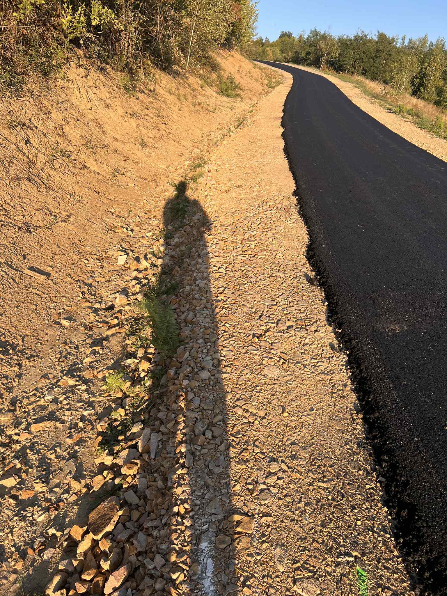 d7f679d1-618b-4e1c-ac64-b042eb3ba6a1