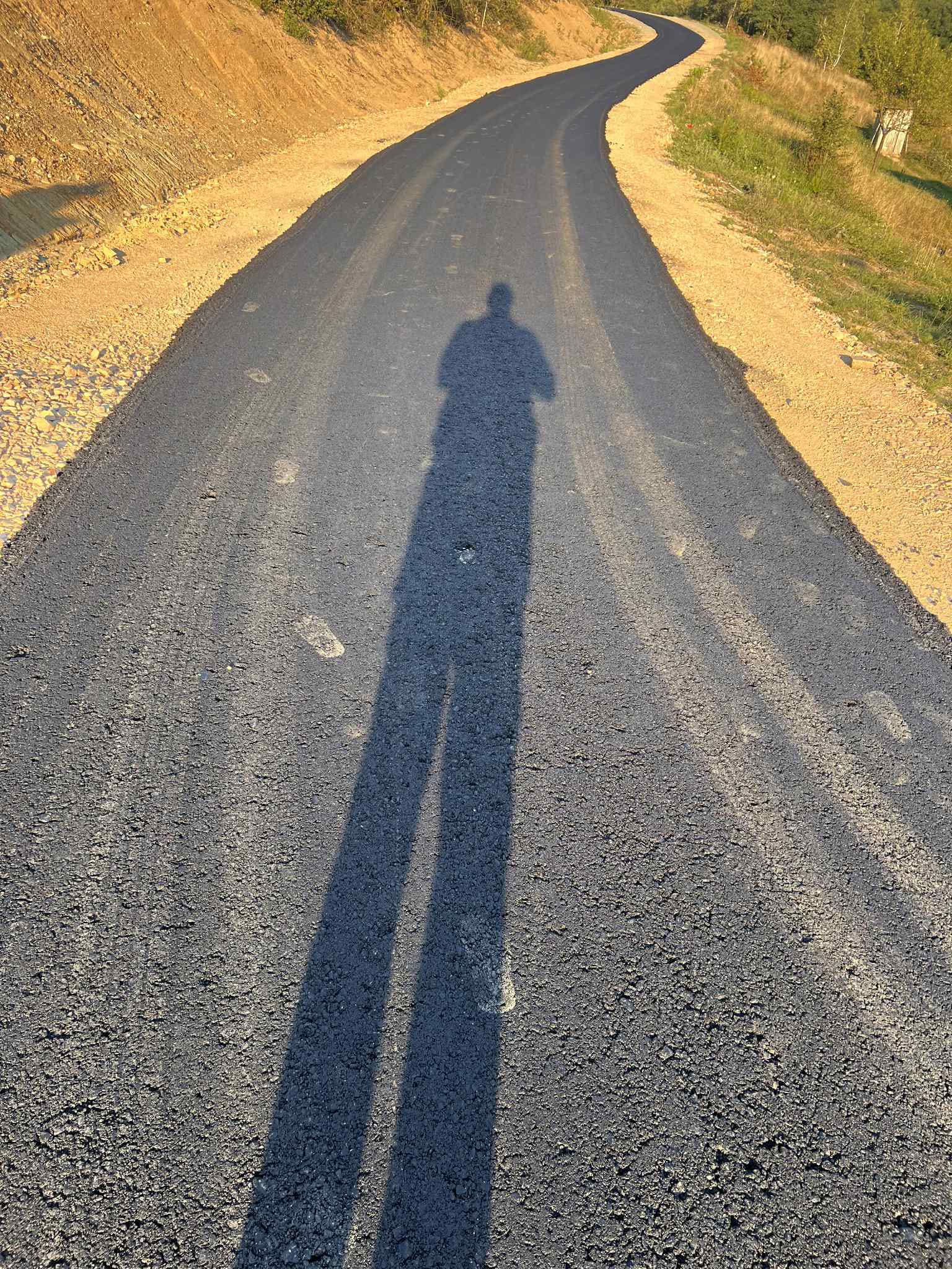 368afc01-6c94-4df8-9dd5-2996cbdc5e0e