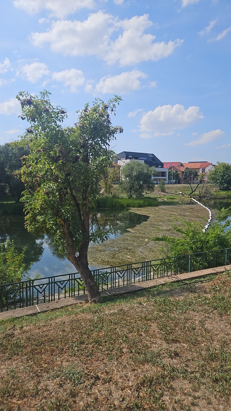 WhatsApp Image 2025-09-02 at 14.51.58