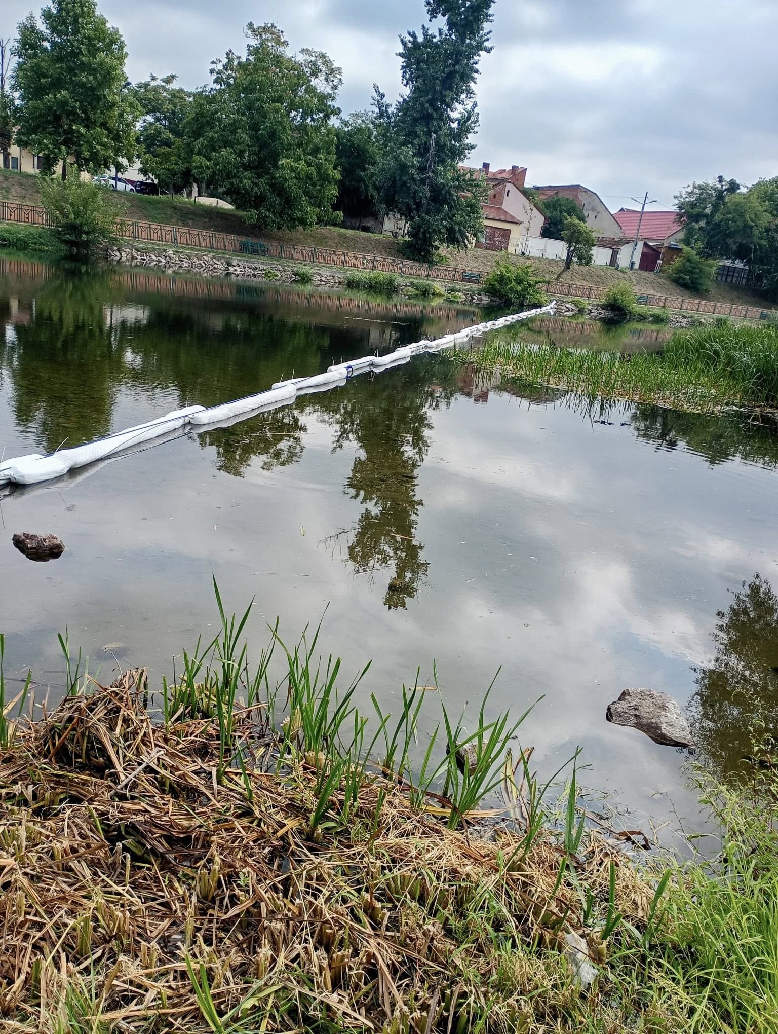 541745689_1100720865576460_964018116060258527_n