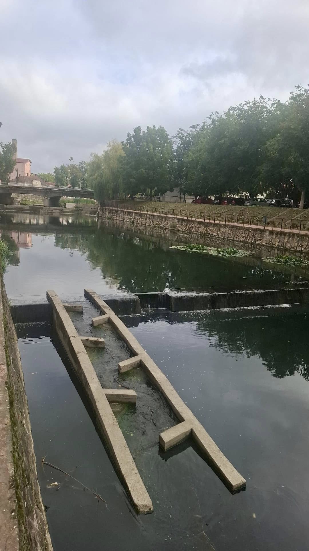 542686640_1100720802243133_5176969636946443406_n