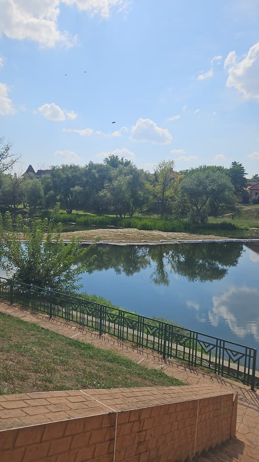 WhatsApp Image 2025-09-02 at 14.51.20