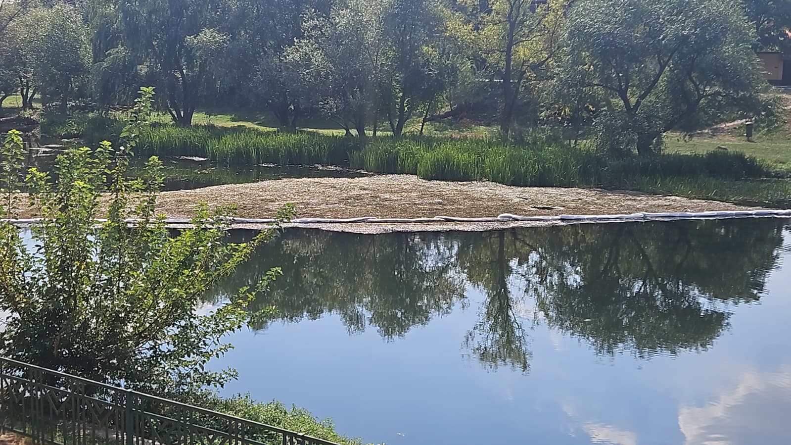 WhatsApp Image 2025-09-02 at 14.51.28