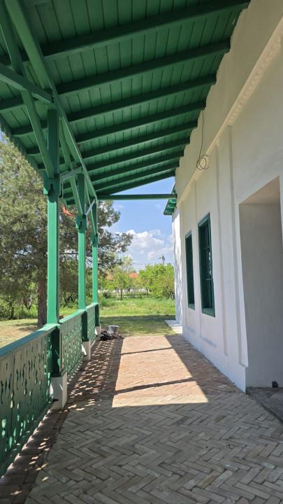 WhatsApp Image 2025-09-04 at 12.26.48