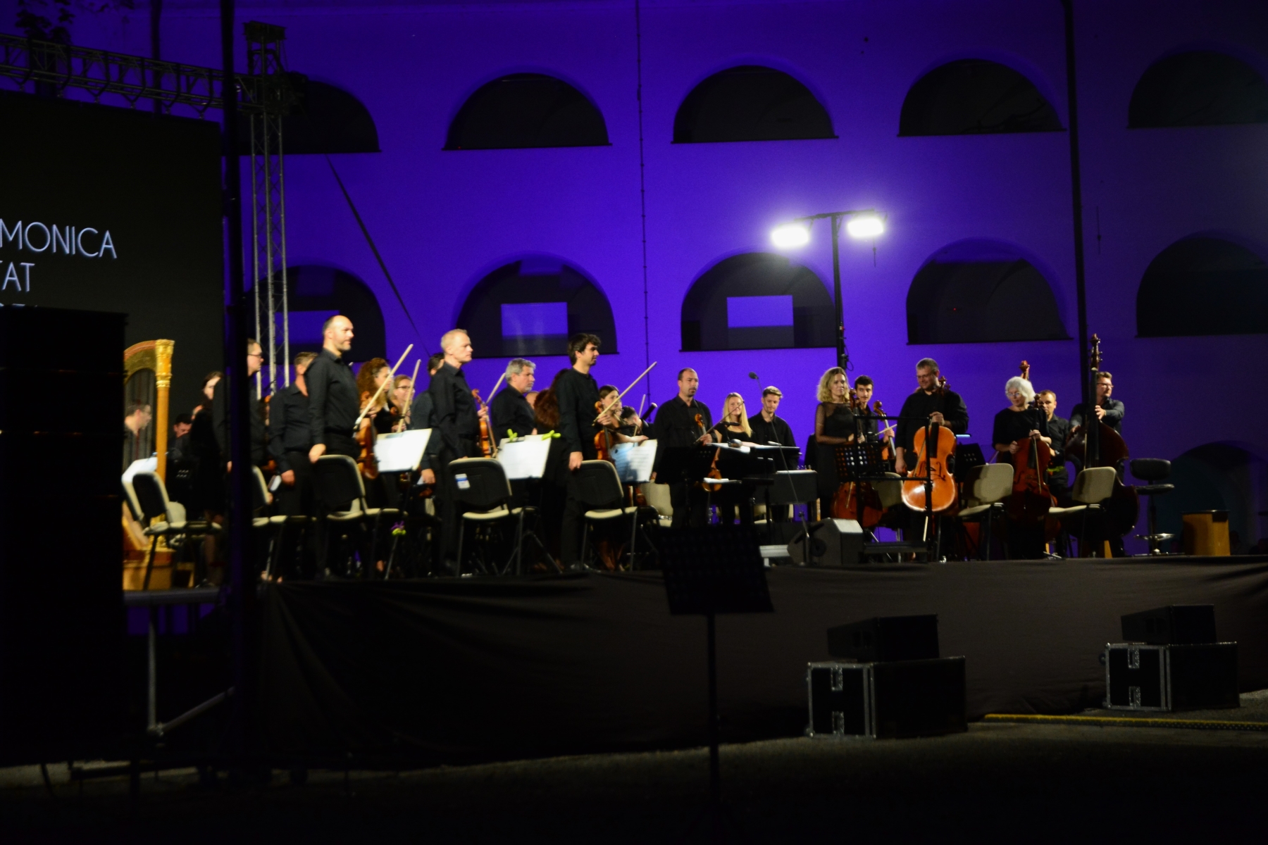 conert A Gamers Symphony (14)