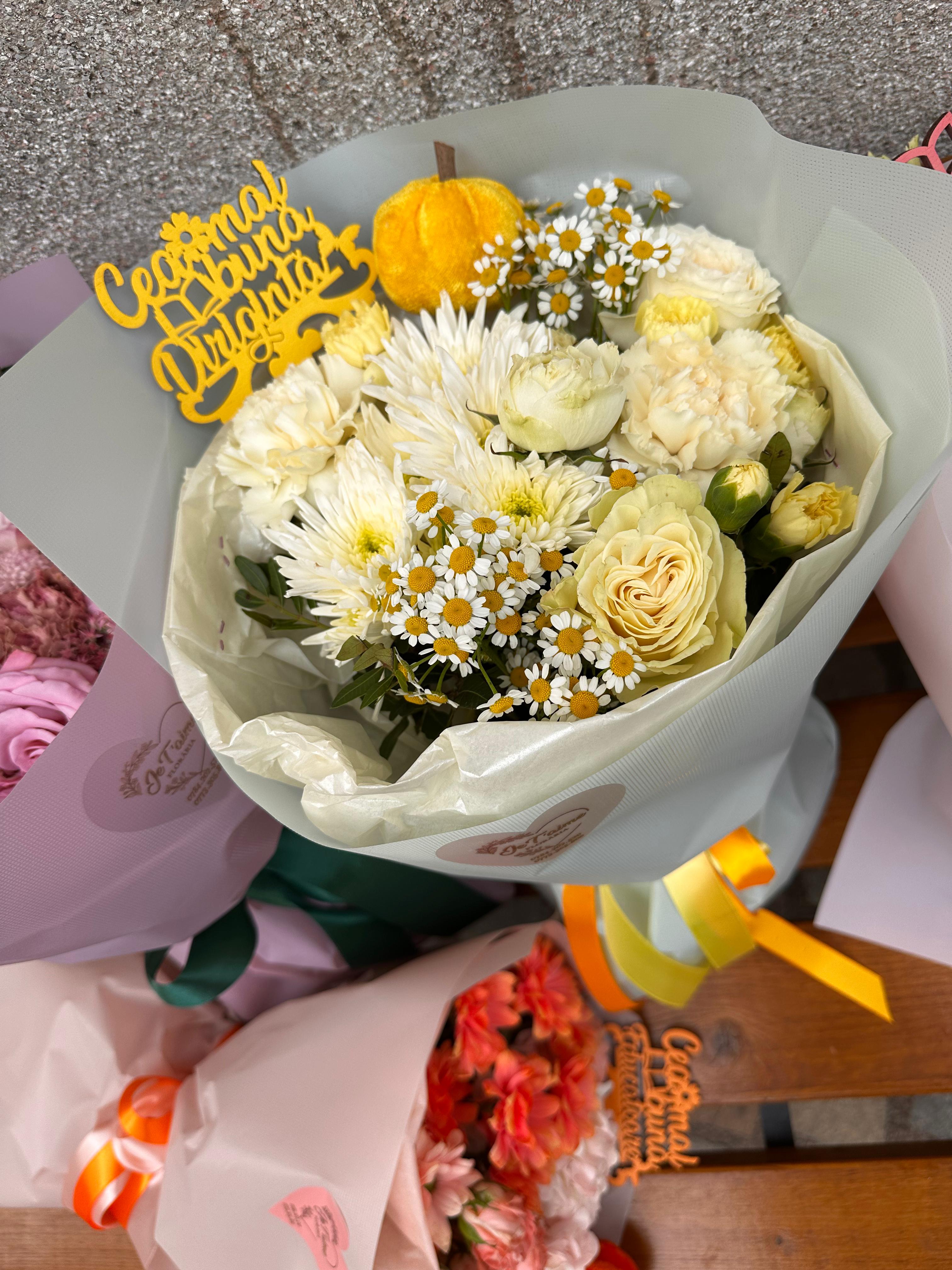 WhatsApp Image 2025-09-07 at 14.33.34 (3)