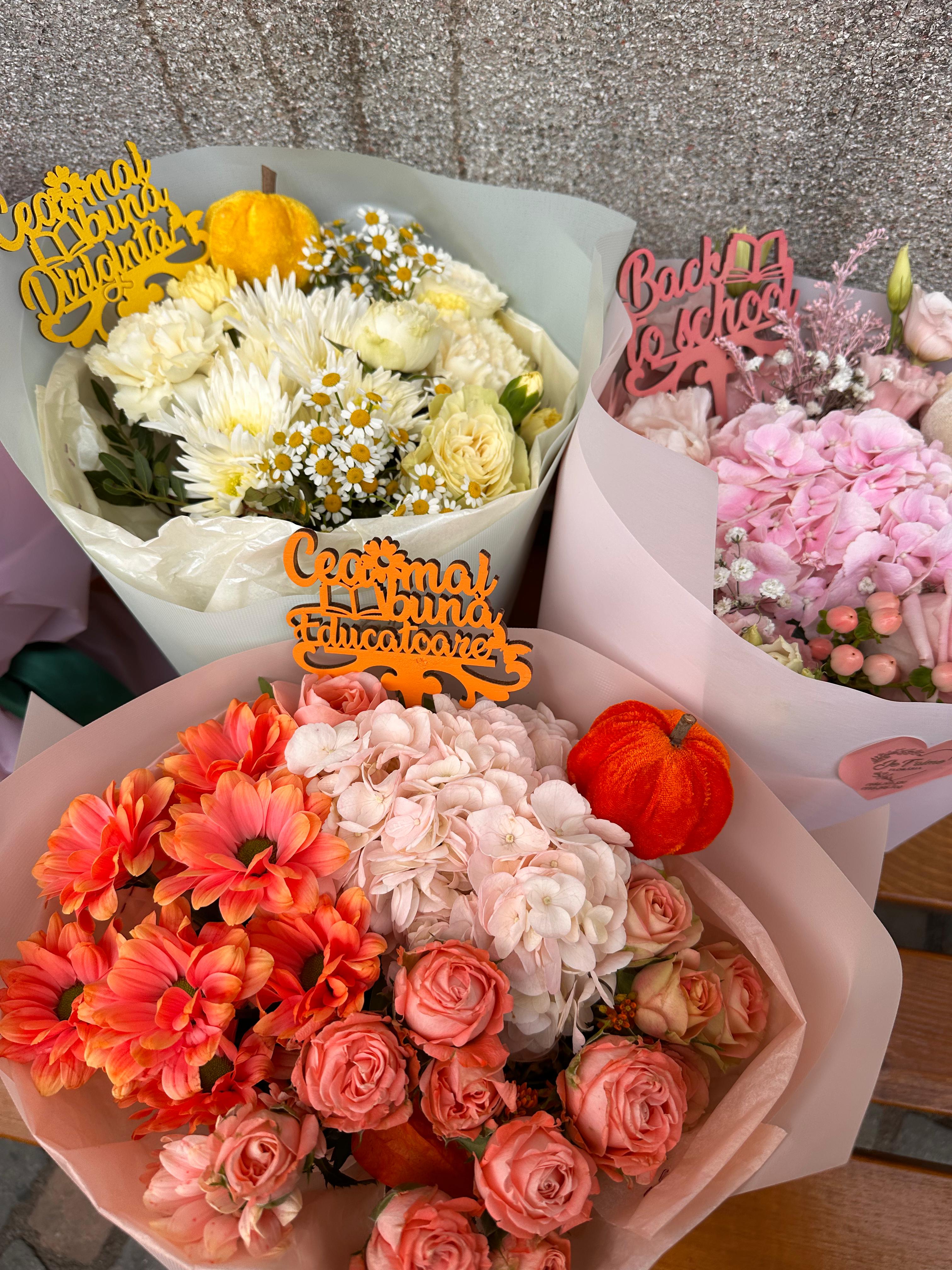 WhatsApp Image 2025-09-07 at 14.33.34 (5)