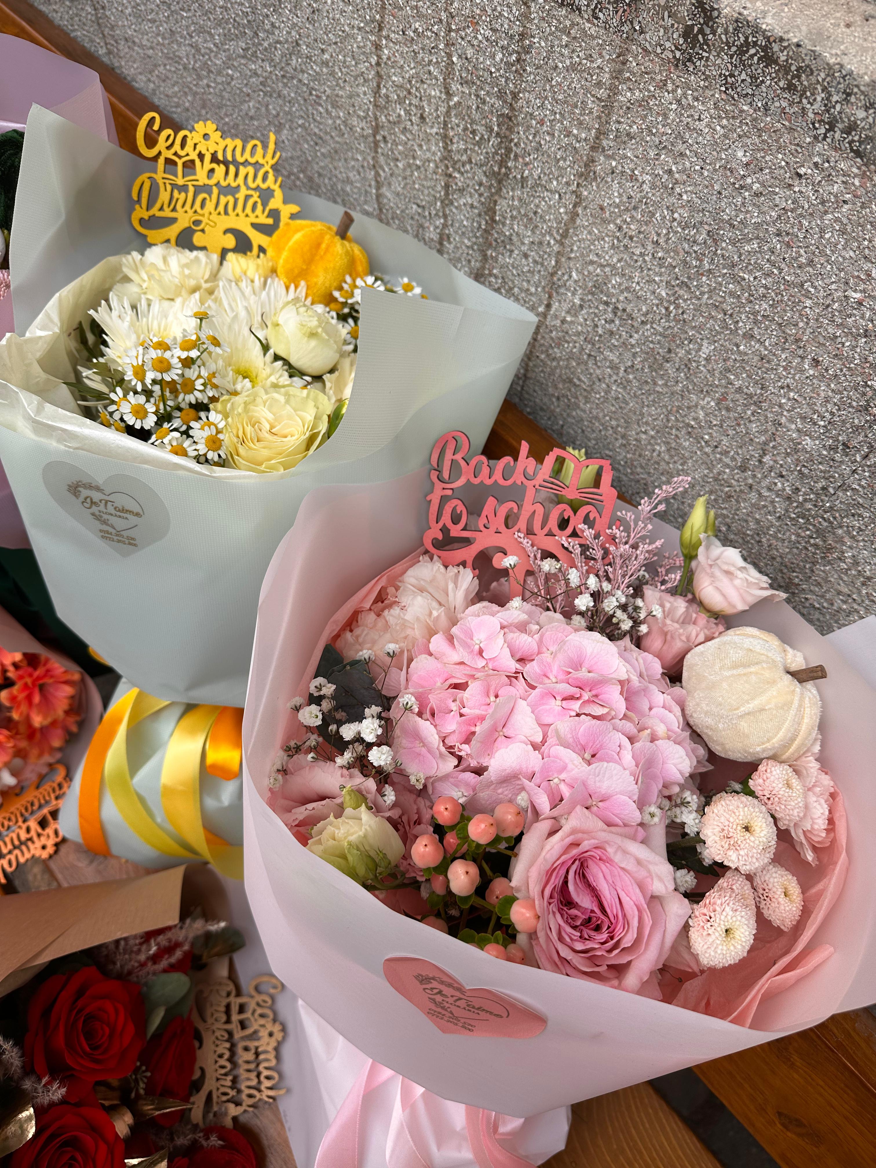 WhatsApp Image 2025-09-07 at 14.33.34