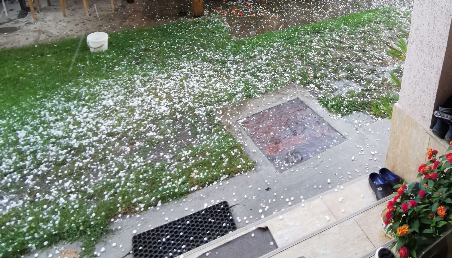 b3d772fa-0715-407c-825b-170f1137ff41