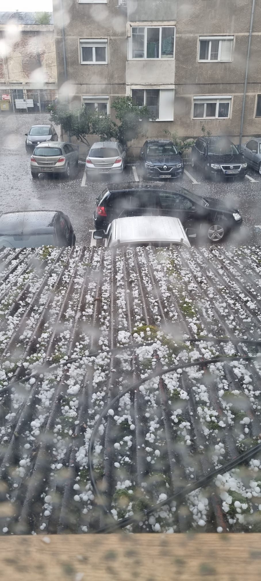 99c2a97d-87e2-440f-b94d-a536ac817466