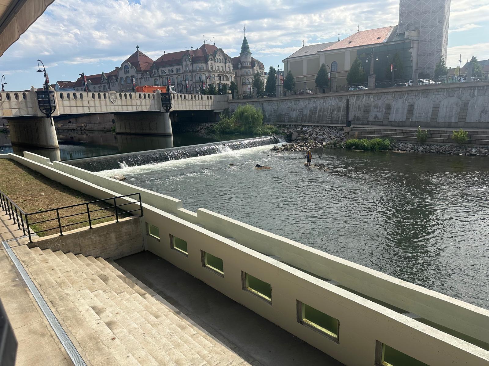 WhatsApp Image 2025-09-11 at 15.09.03