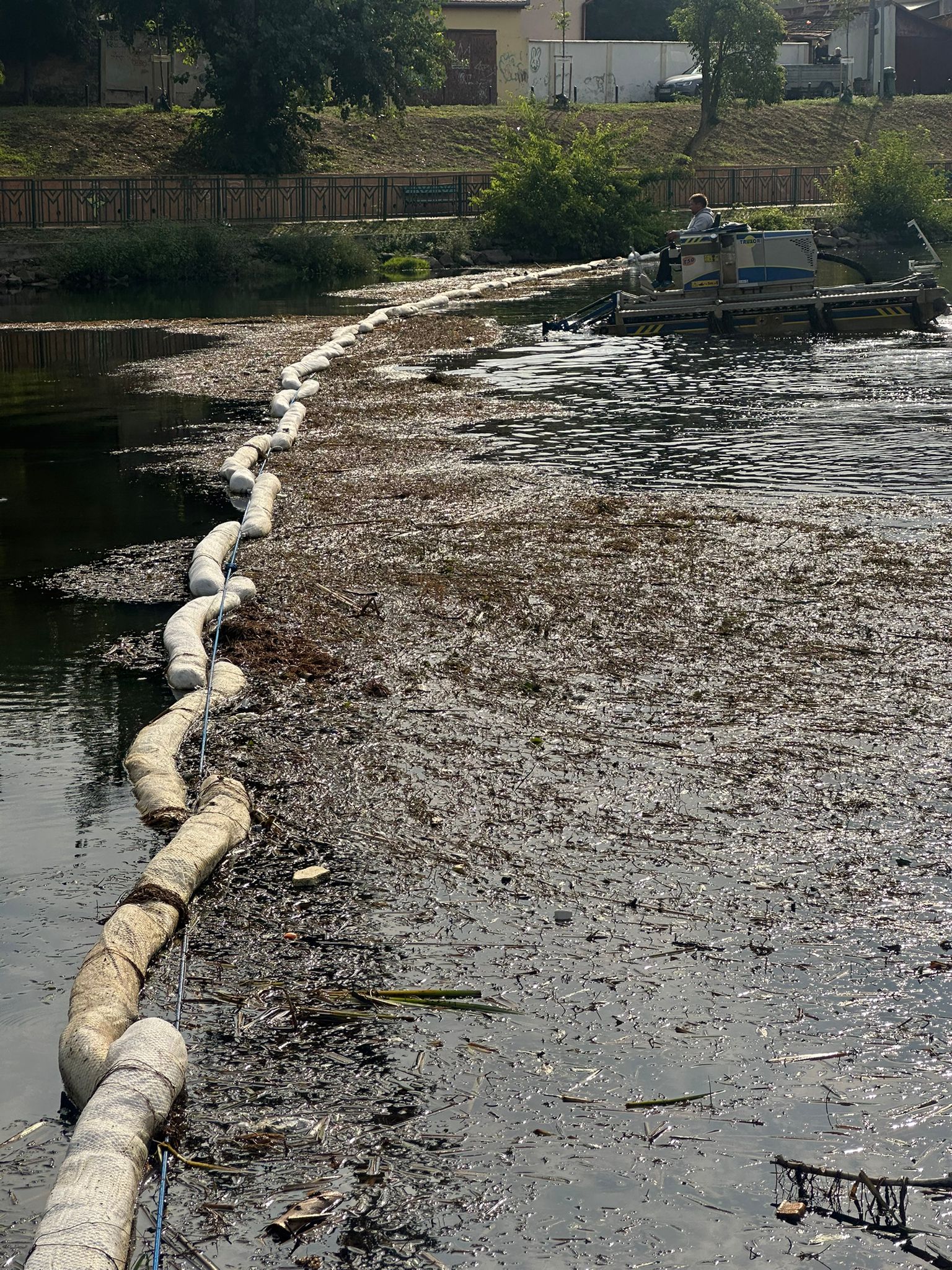 WhatsApp Image 2025-09-15 at 12.58.01