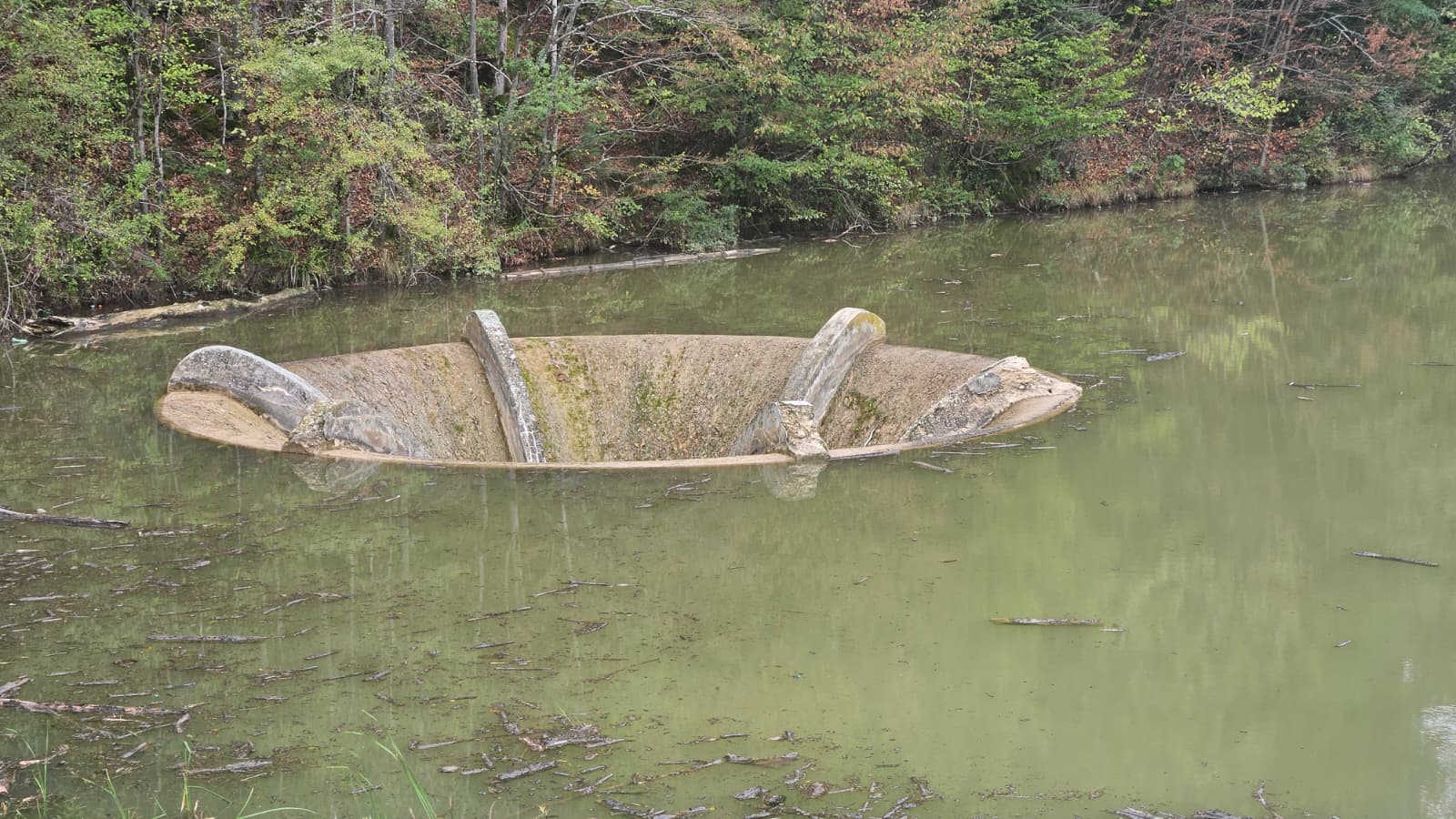 WhatsApp Image 2025-09-17 at 12.14.07 (1)