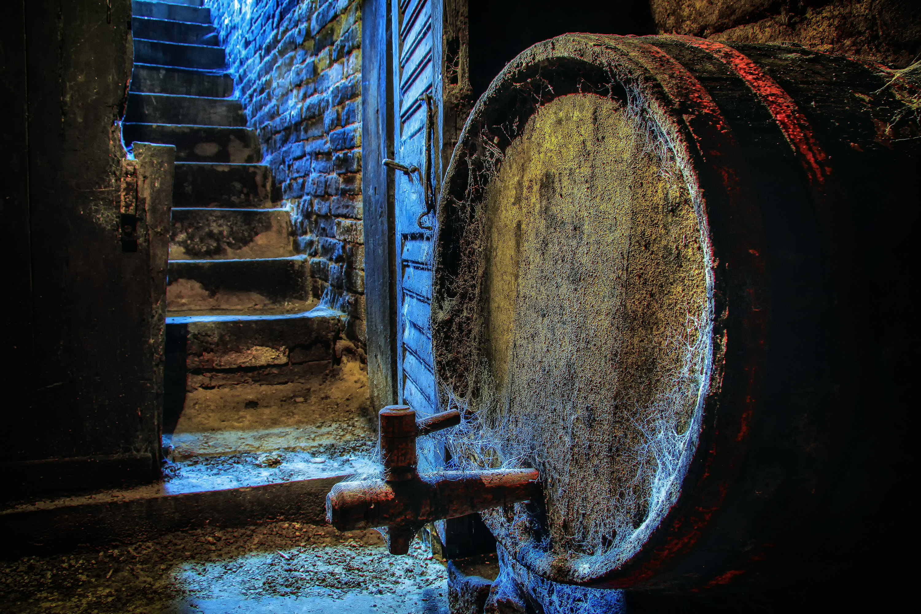 Foto Bolla László (HU)