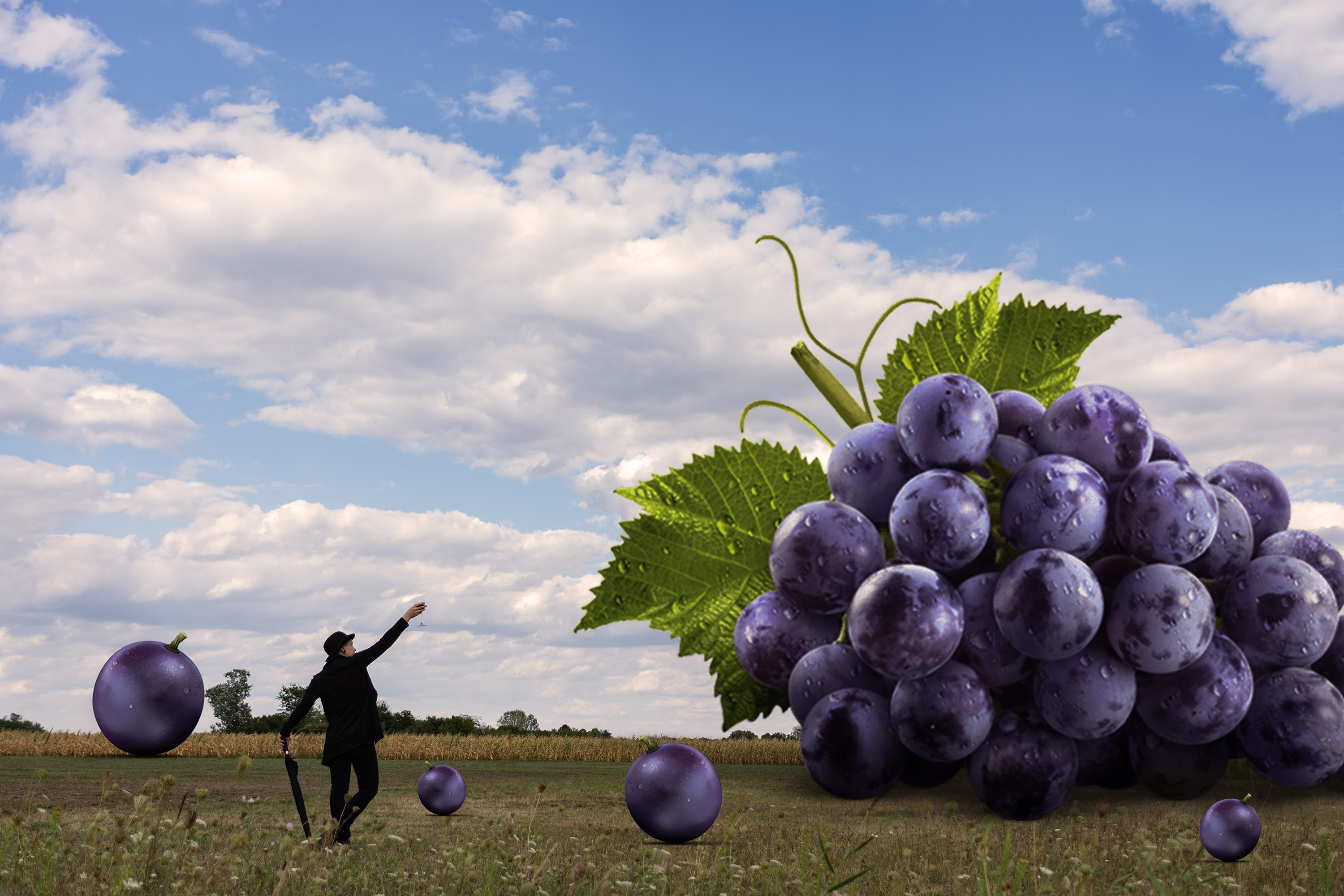 Foto Hős Norbert AFIAP (SRB) 01