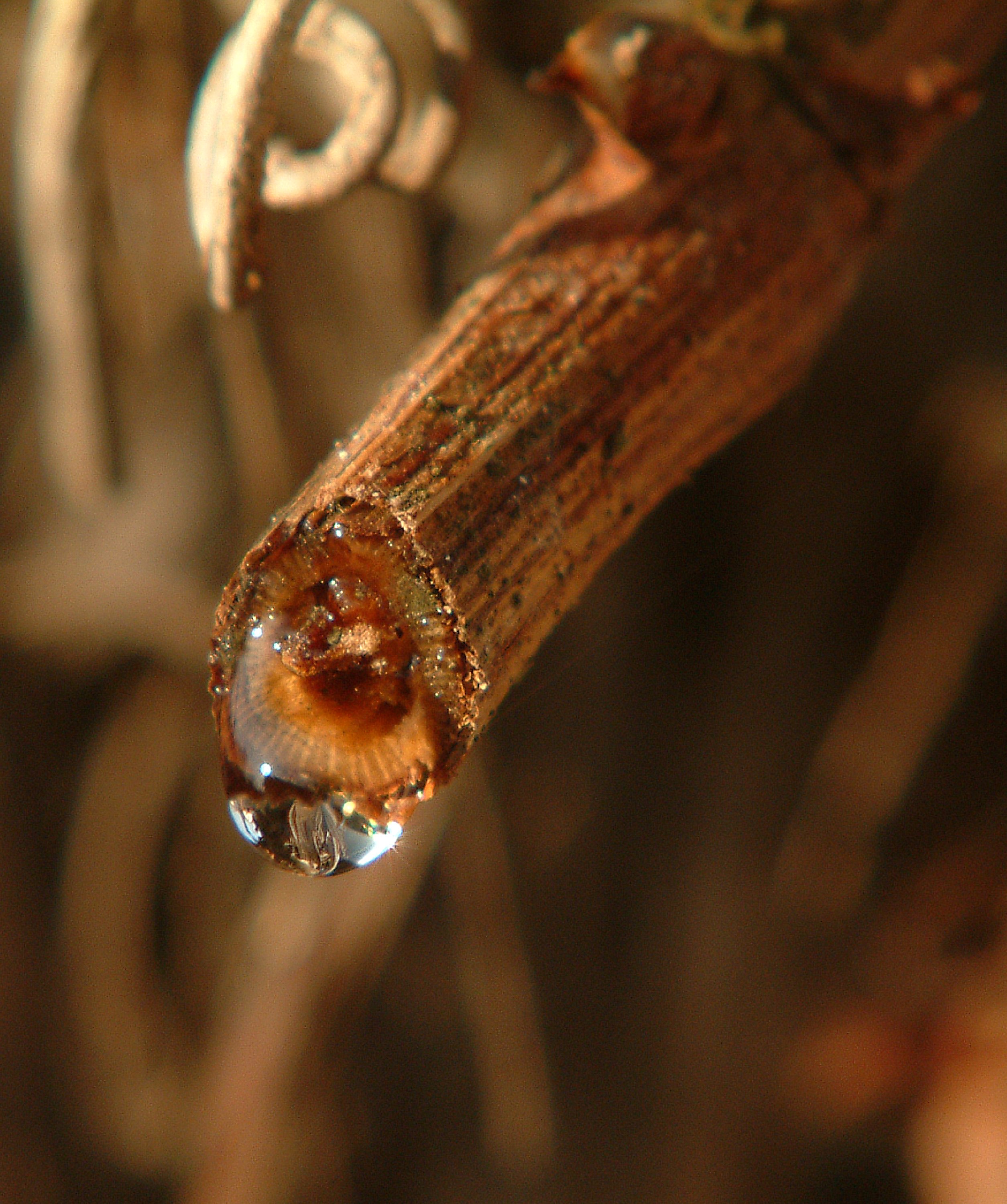 Foto Károly Gábor (HU)