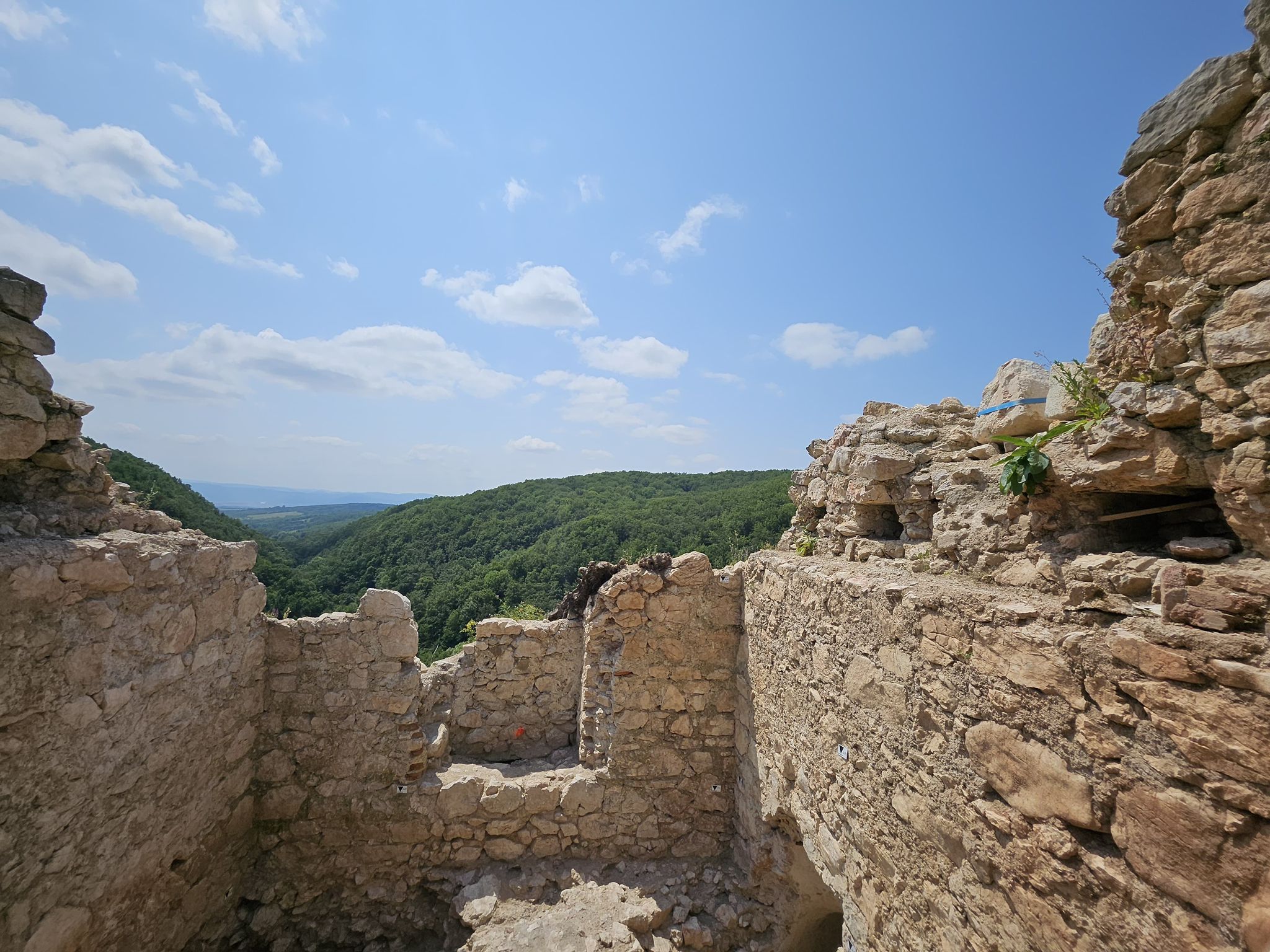 WhatsApp Image 2025-09-05 at 12.32.19