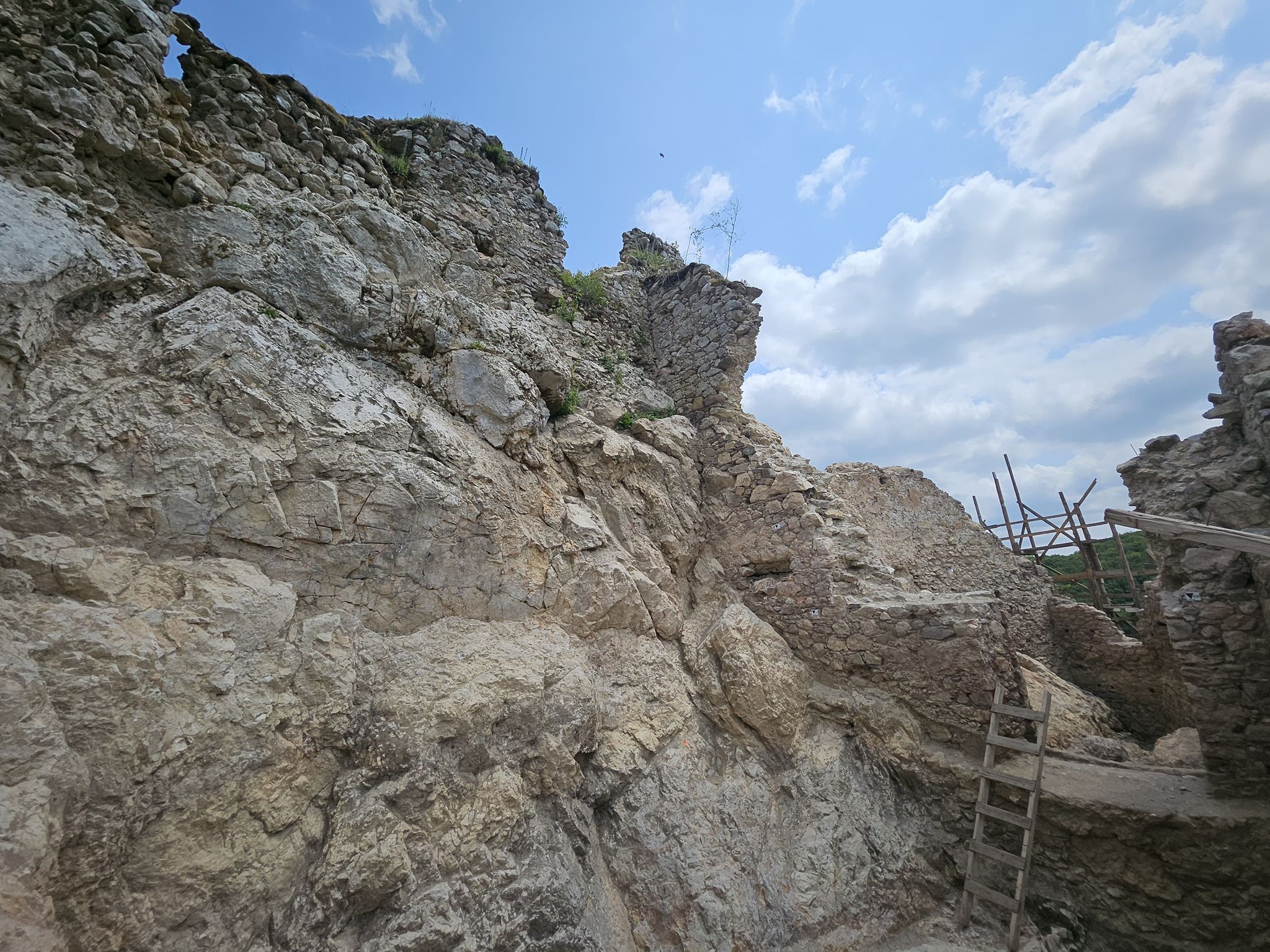 WhatsApp Image 2025-09-05 at 12.32.20 (1)