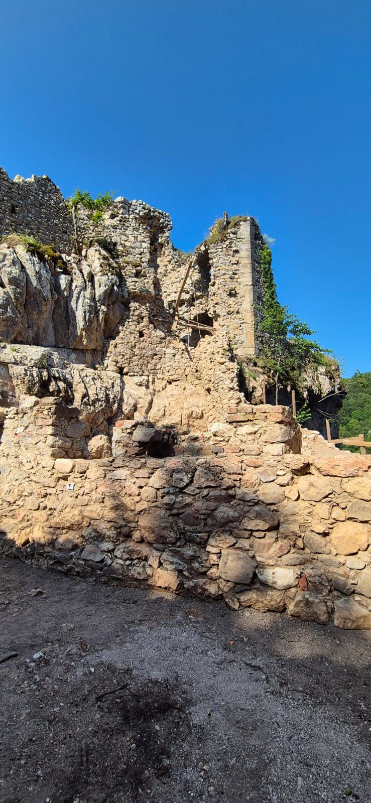 WhatsApp Image 2025-09-05 at 12.32.20