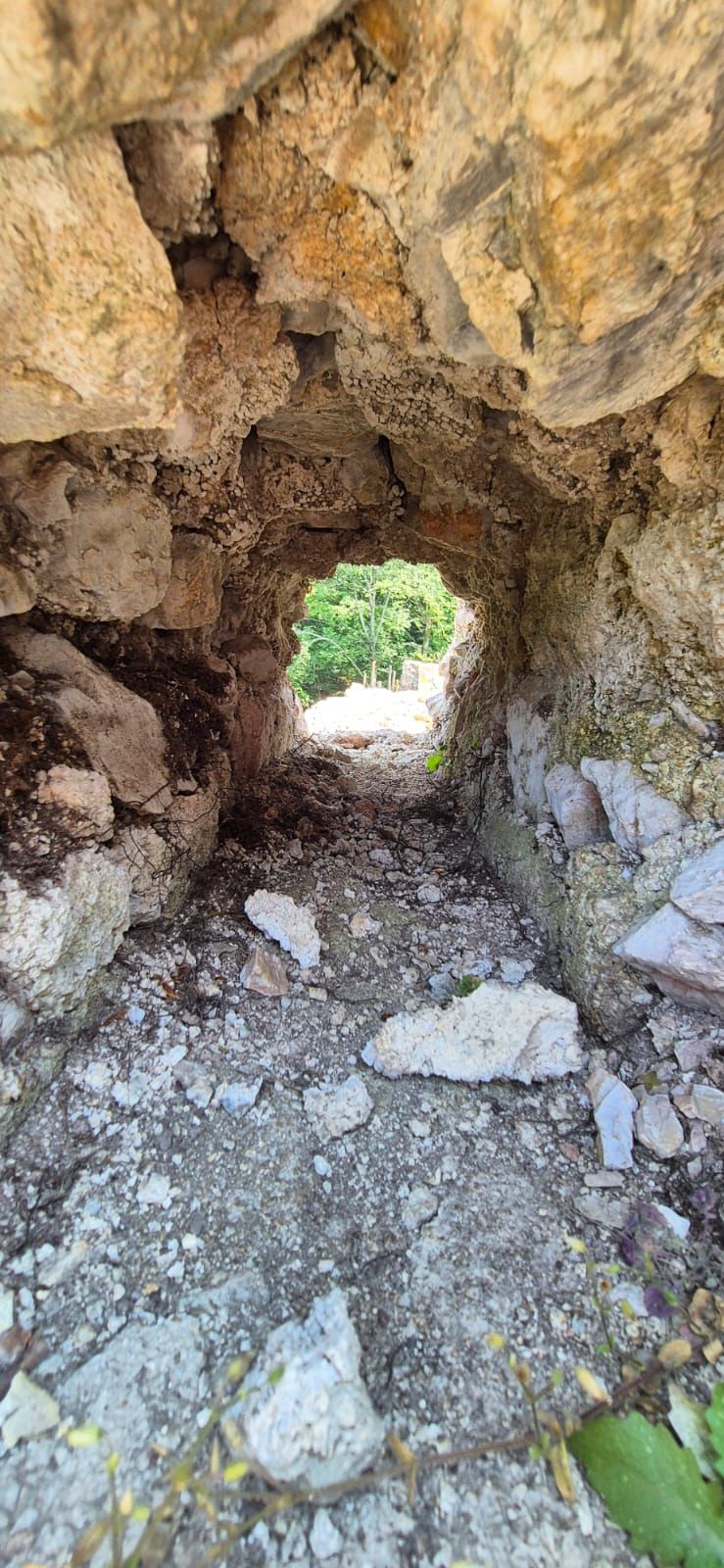 WhatsApp Image 2025-09-05 at 12.32.22 (1)