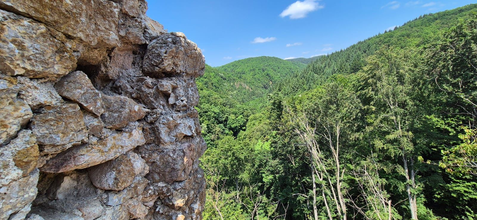 WhatsApp Image 2025-09-05 at 12.32.22 (2)