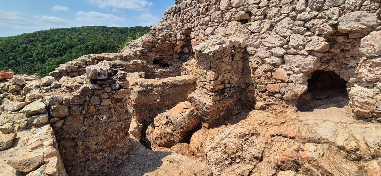 WhatsApp Image 2025-09-05 at 12.32.22 (3)