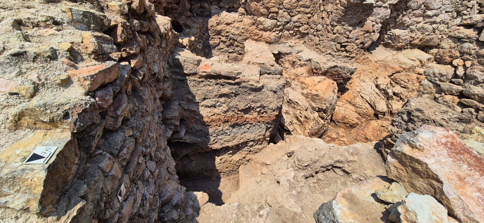 WhatsApp Image 2025-09-05 at 12.32.22