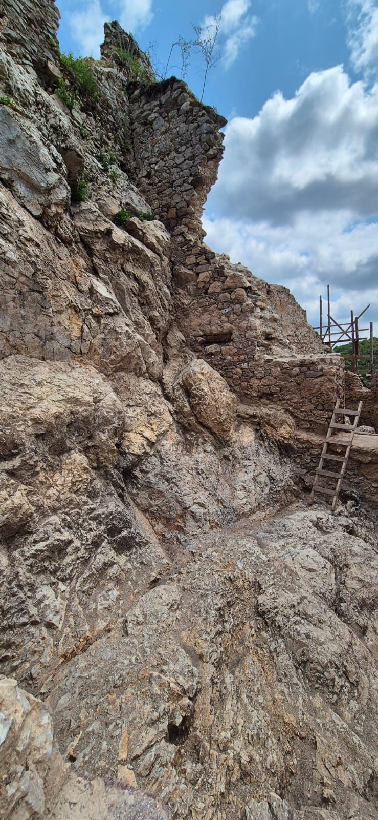 WhatsApp Image 2025-09-05 at 12.32.23 (3)