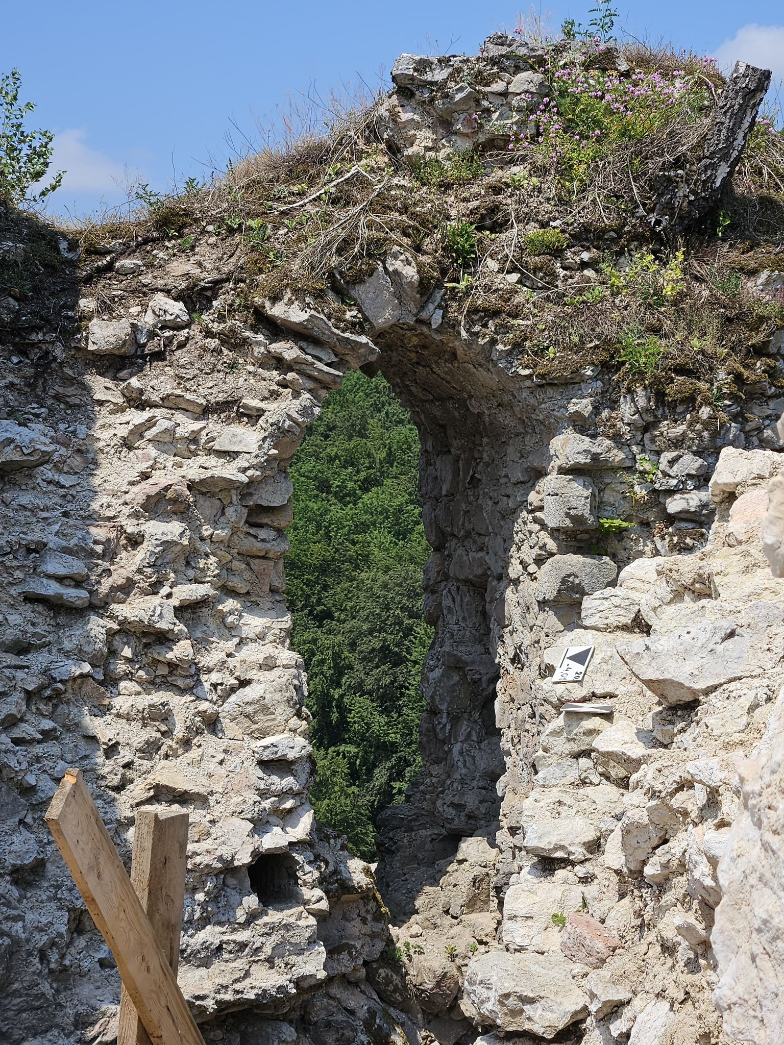 WhatsApp Image 2025-09-05 at 12.32.18