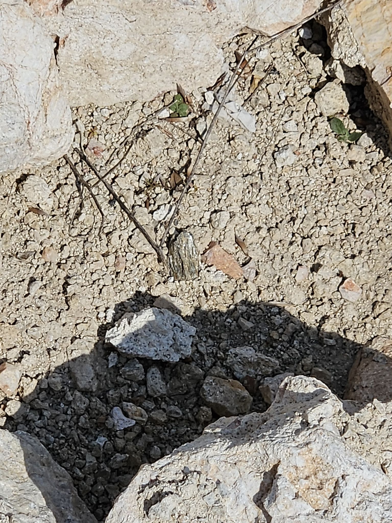 WhatsApp Image 2025-09-05 at 12.32.19 (3)