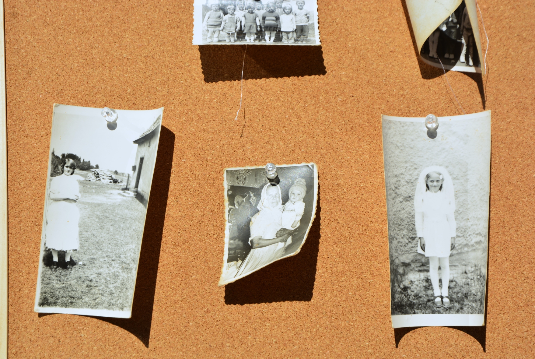 Zilele Culturii Slovace 2025 (17)