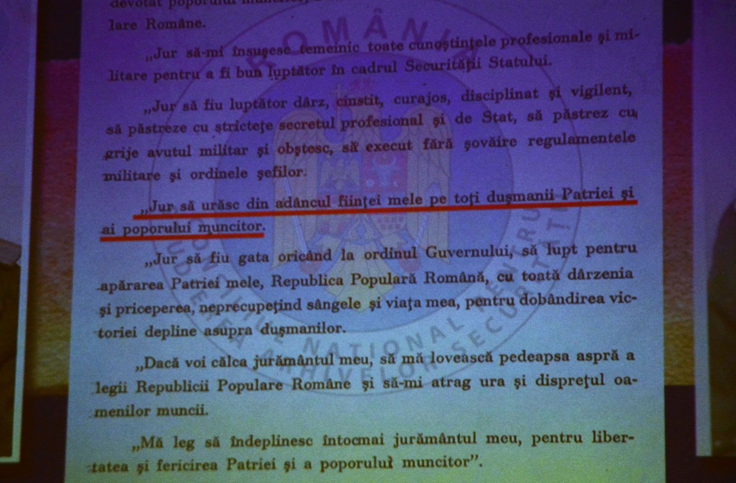 Anul nou care n-a fost, proiecţie la muzeu (21)