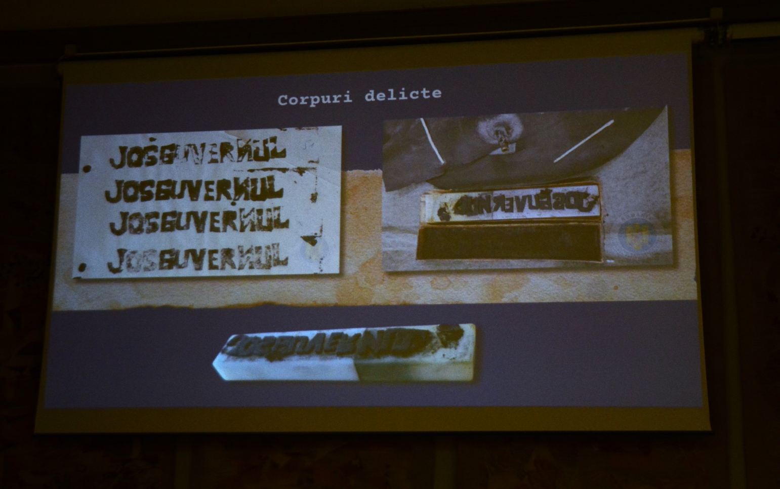 Anul nou care n-a fost, proiecţie la muzeu (22)