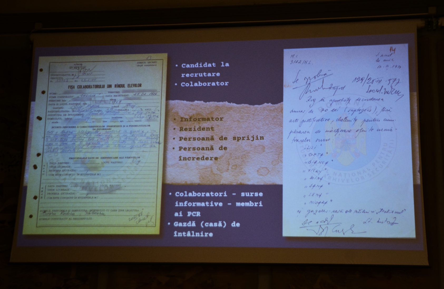 Anul nou care n-a fost, proiecţie la muzeu (28)