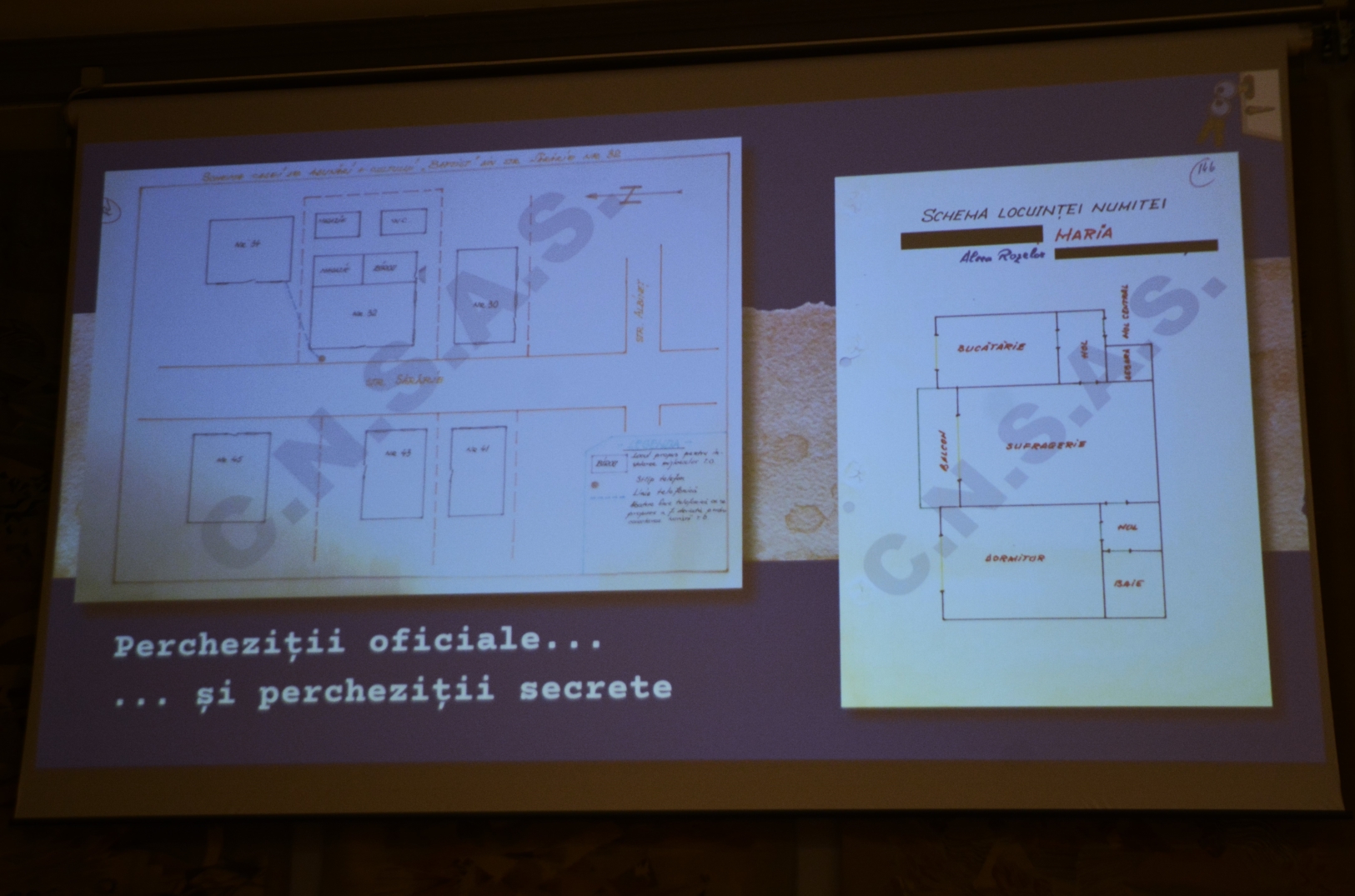 Anul nou care n-a fost, proiecţie la muzeu (29)