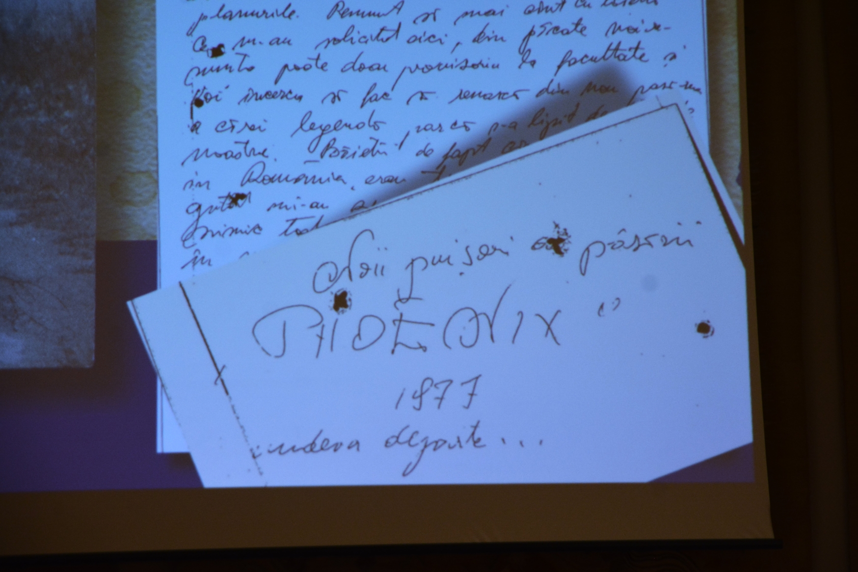 Anul nou care n-a fost, proiecţie la muzeu (39)