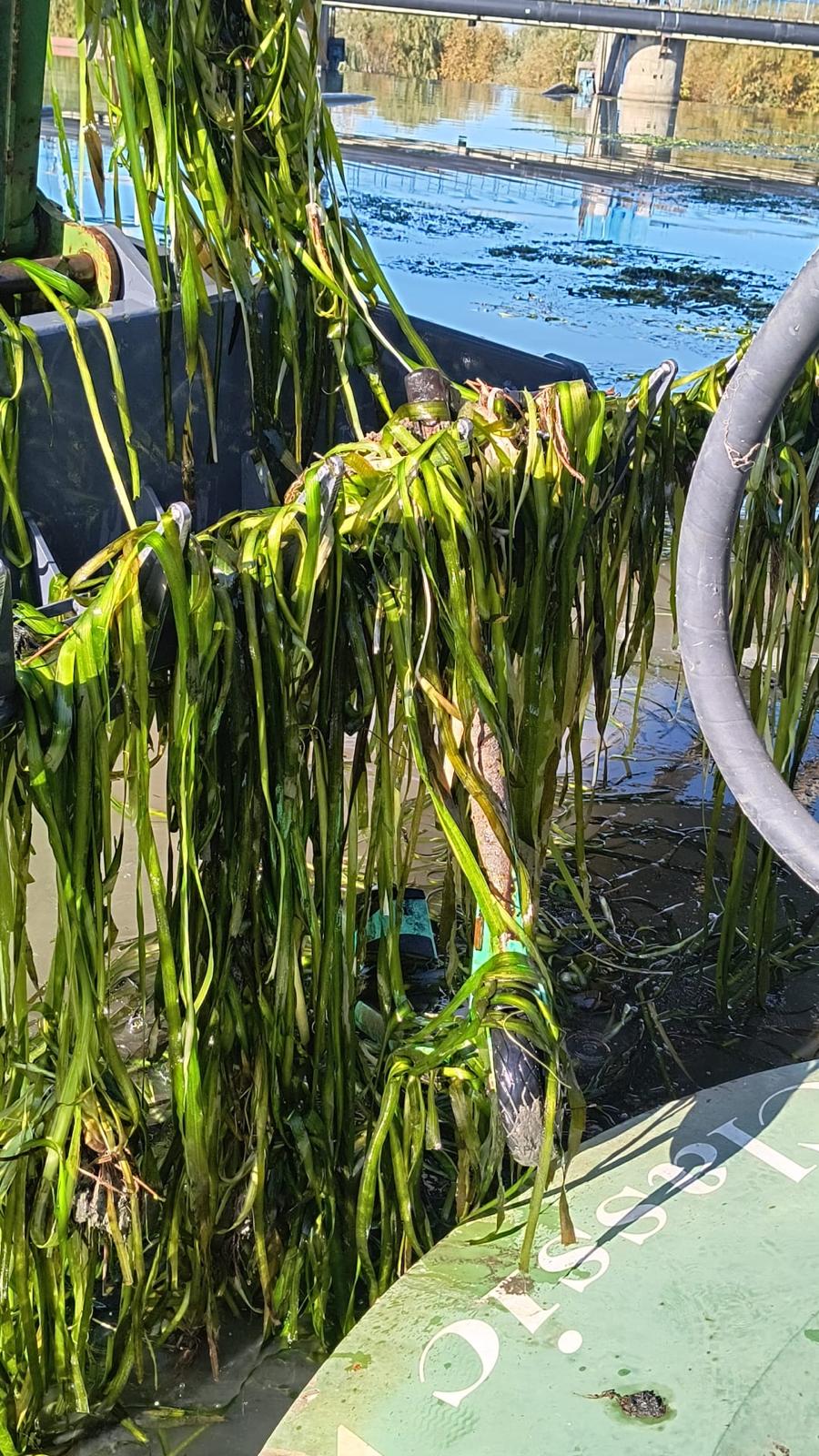 WhatsApp Image 2025-10-23 at 12.28.07 (1)