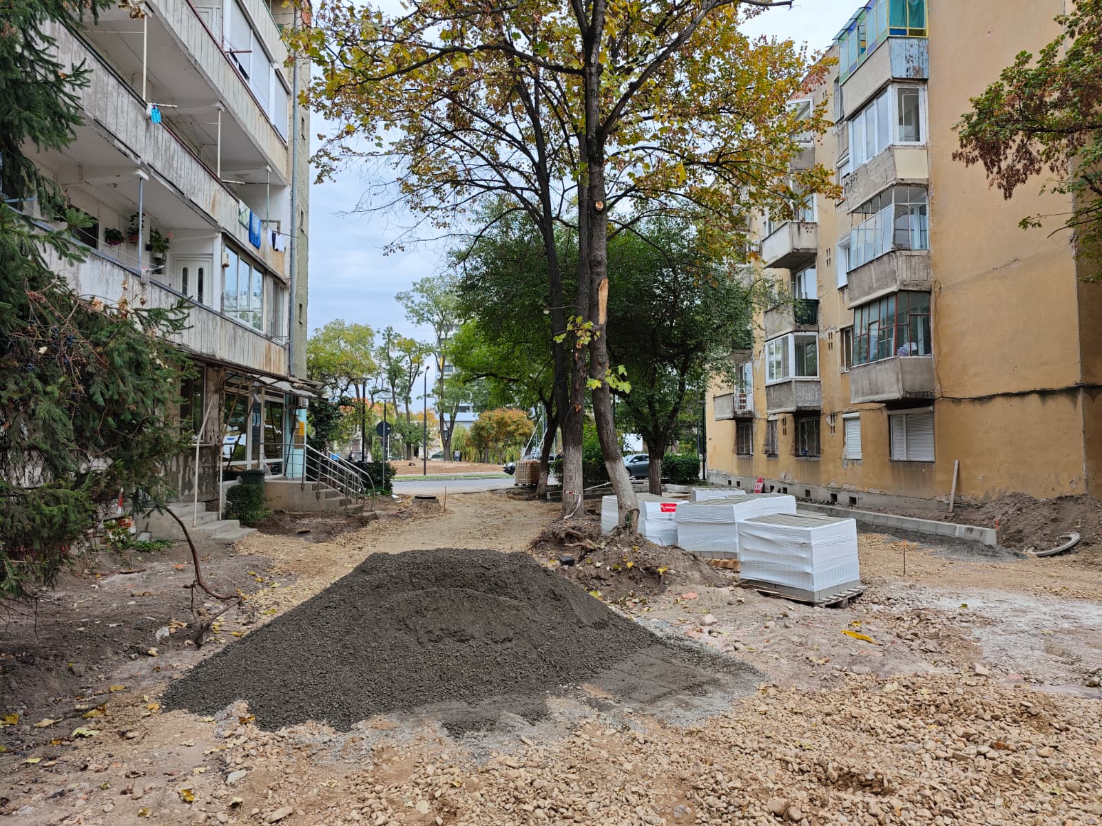 WhatsApp Image 2025-10-24 at 10.23.02