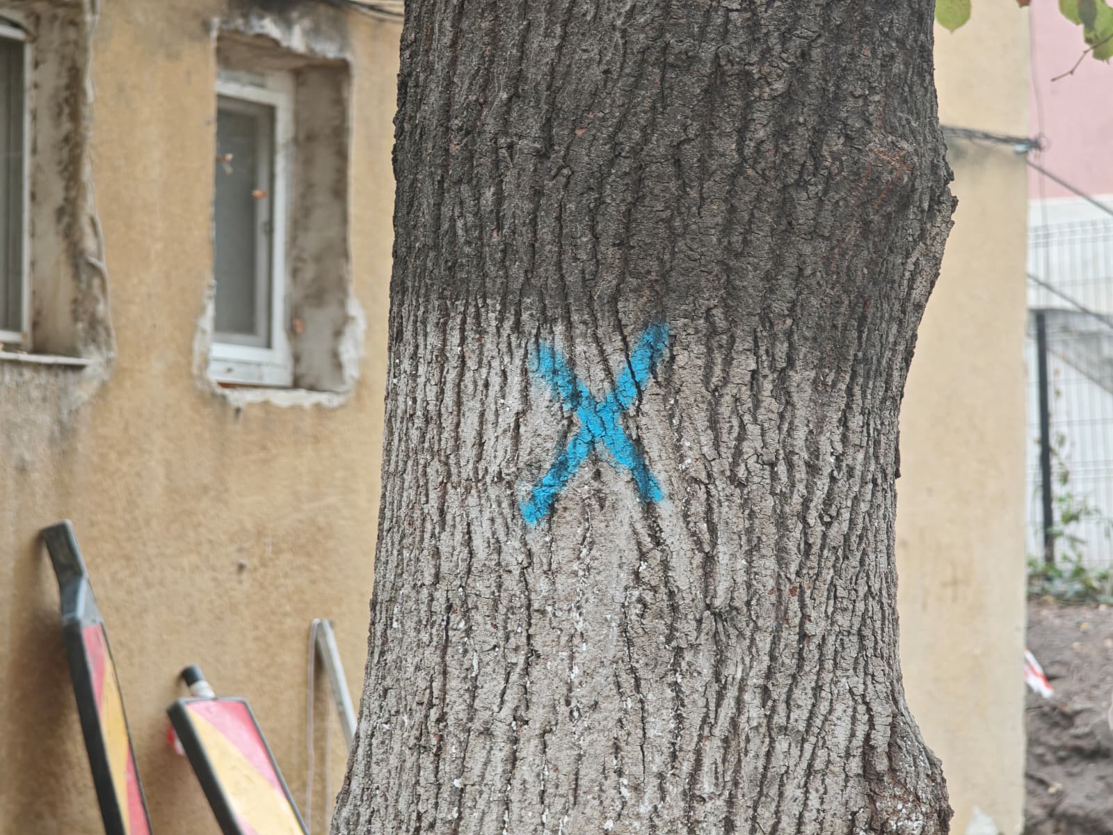 WhatsApp Image 2025-10-24 at 10.22.30