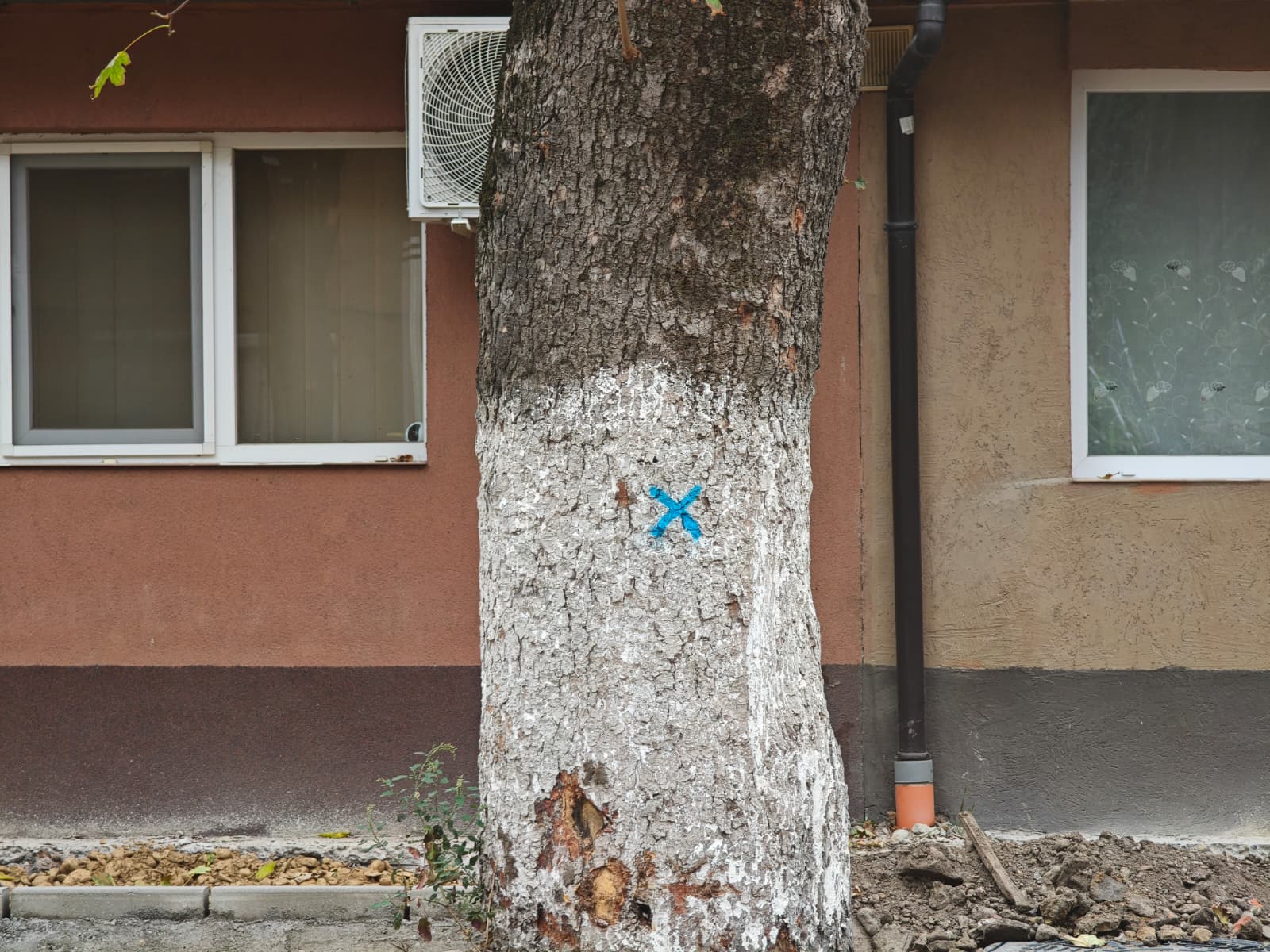 WhatsApp Image 2025-10-24 at 10.23.01 (1)