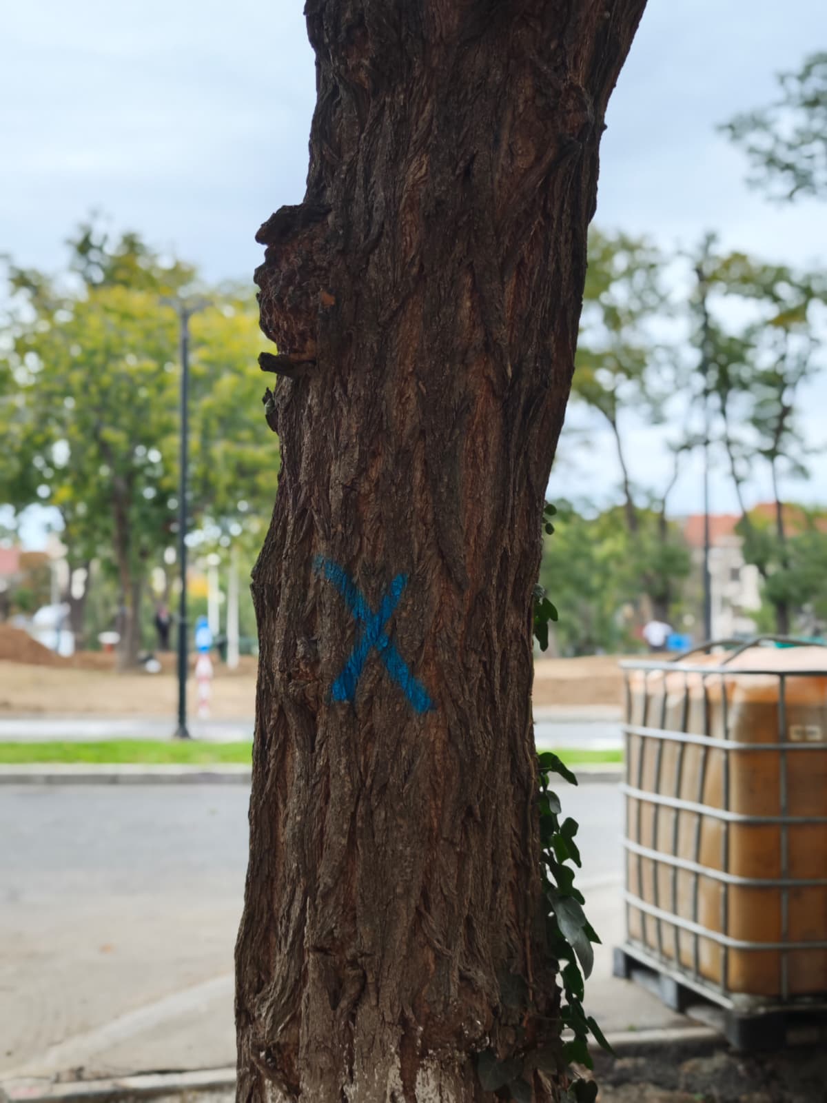 WhatsApp Image 2025-10-24 at 10.22.29