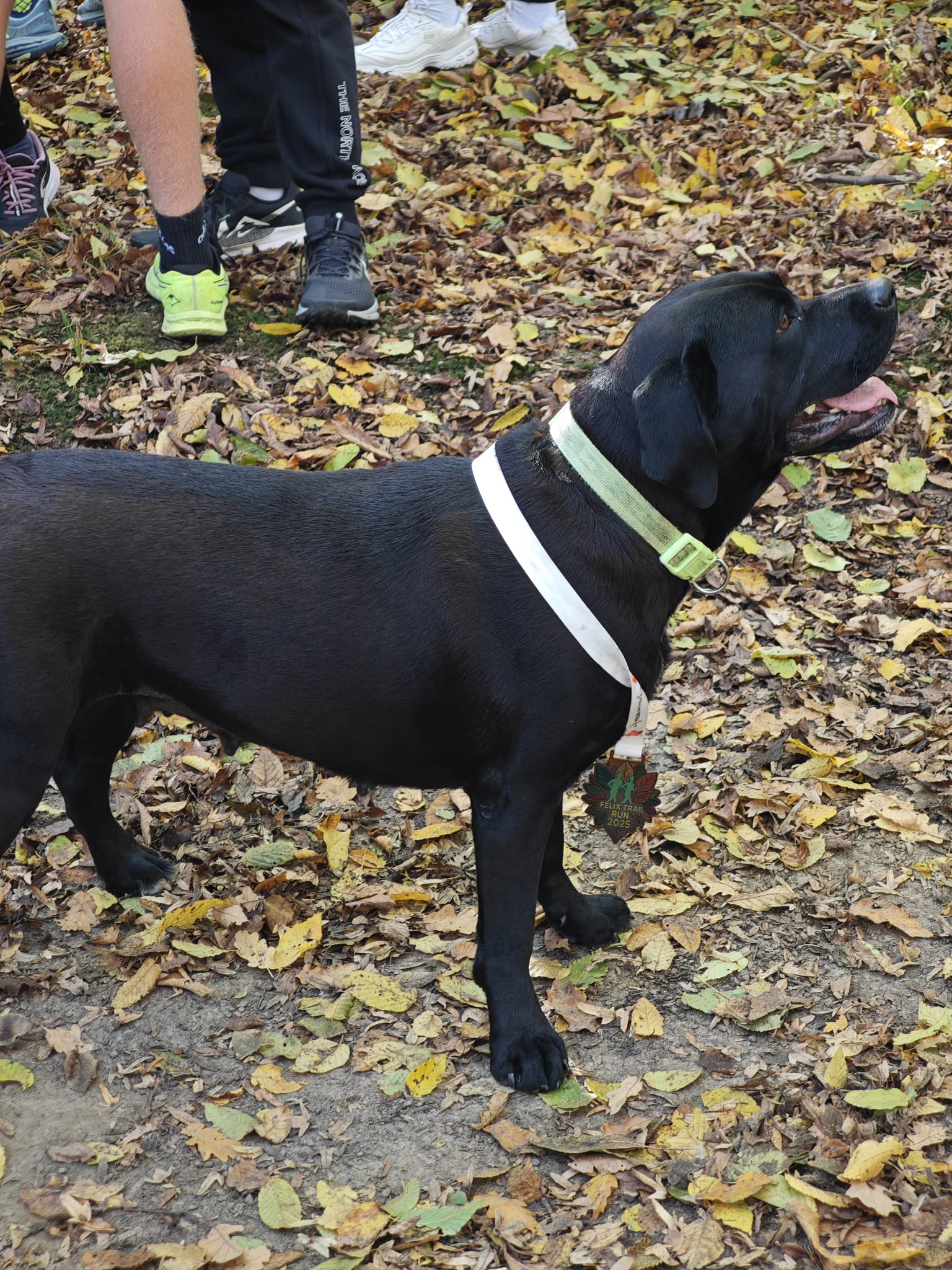 WhatsApp Image 2025-10-25 at 13.18.12 (3)