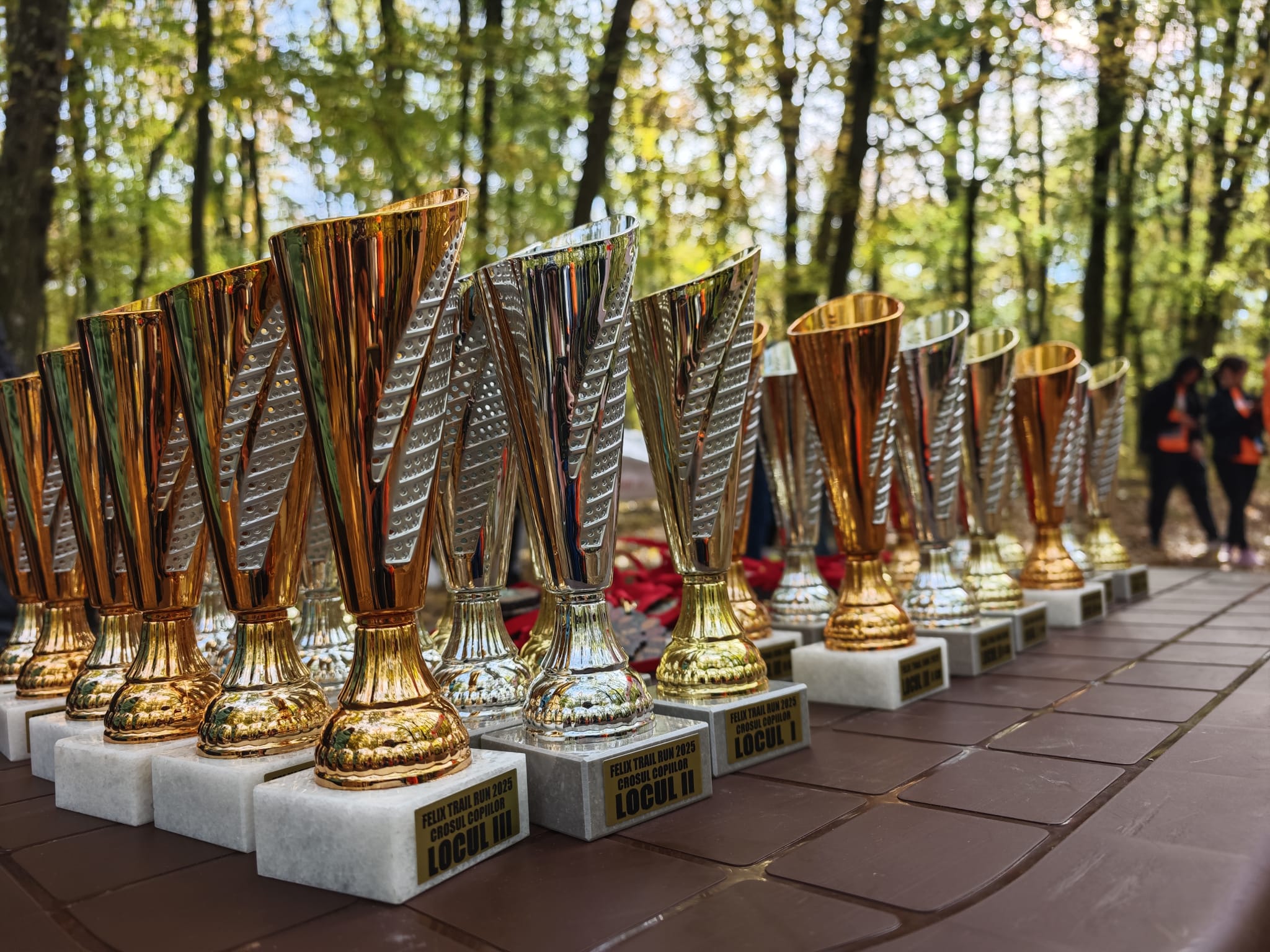 WhatsApp Image 2025-10-25 at 13.17.47