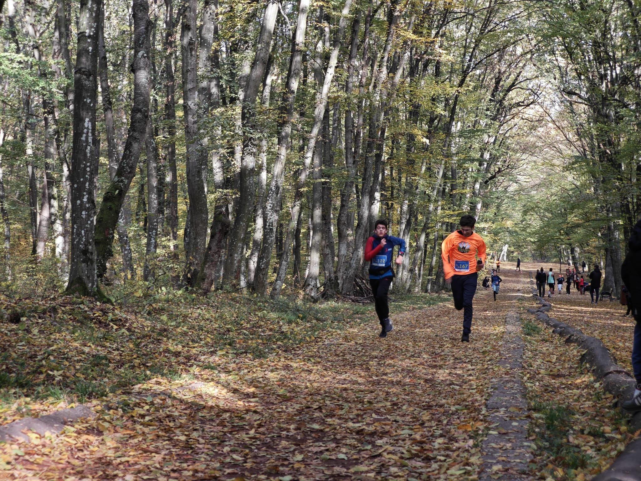 WhatsApp Image 2025-10-25 at 13.18.17